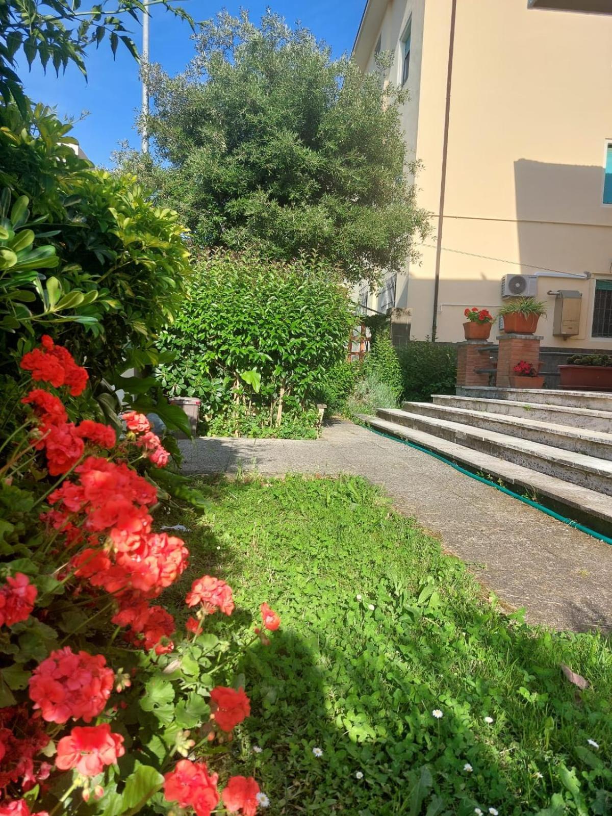 Villa Mehari Пиза Екстериор снимка